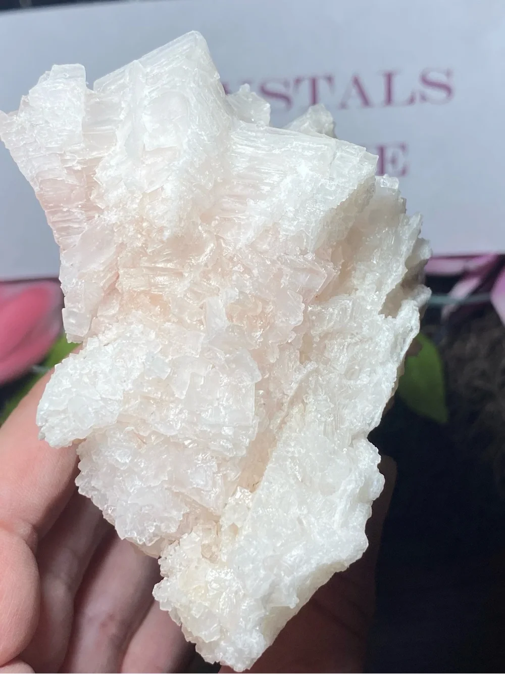 N/A stunning pink